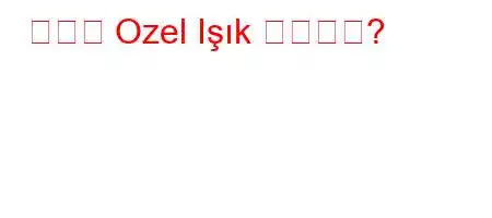 누구의 Ozel Işık 고등학교?